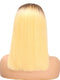 Highlight Shoulder Length Wig Straight Hair Lace Front Wig