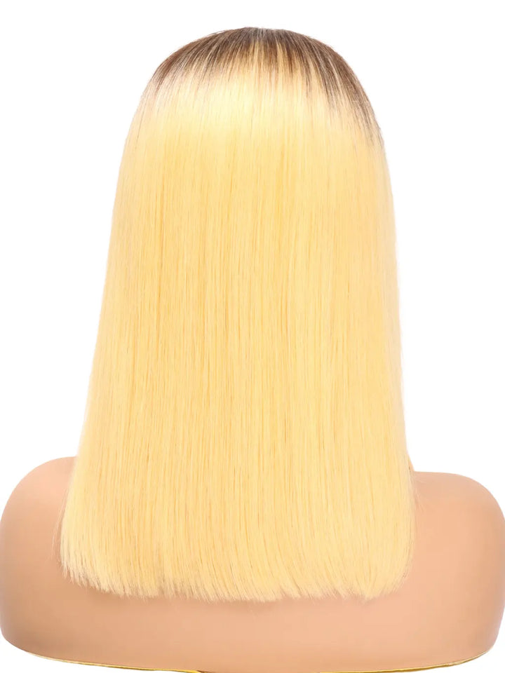 Highlight Shoulder Length Wig Straight Hair Lace Front Wig