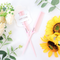 Hair Dressing Tip Comb Anti-Static Tip Plastic Comb Hair Styling Partition Comb Hair Picking Comb