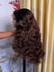Dorsanee Ombre Black Brown Bouncy Loose Wave 300 Density 13x4 Lace Front Human Hair Wigs