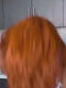 Dorsanee 250 Density Ginger Orange Body Wave 13x4 Lace Front Human Hair Wigs