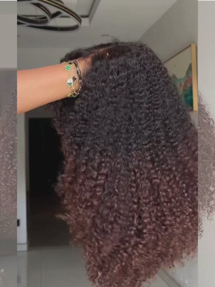 Dorsanee 250 300 Density Fluffy Kinky Curly Coils 13x4 Lace Front Human Hair Wig